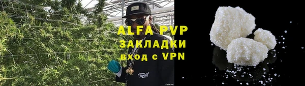 ПСИЛОЦИБИНОВЫЕ ГРИБЫ Бронницы
