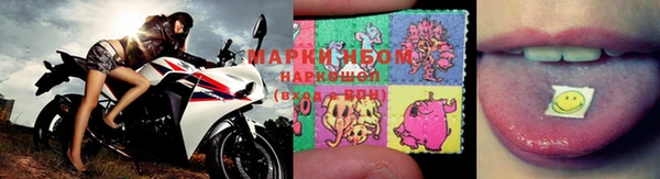 a pvp Бородино