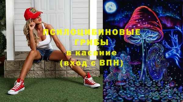 a pvp Бородино