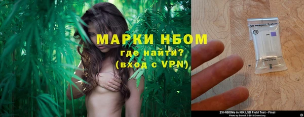 a pvp Бородино