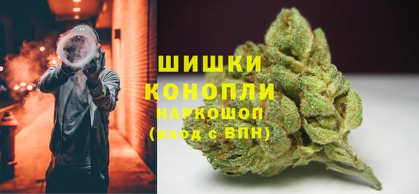 ПСИЛОЦИБИНОВЫЕ ГРИБЫ Бронницы