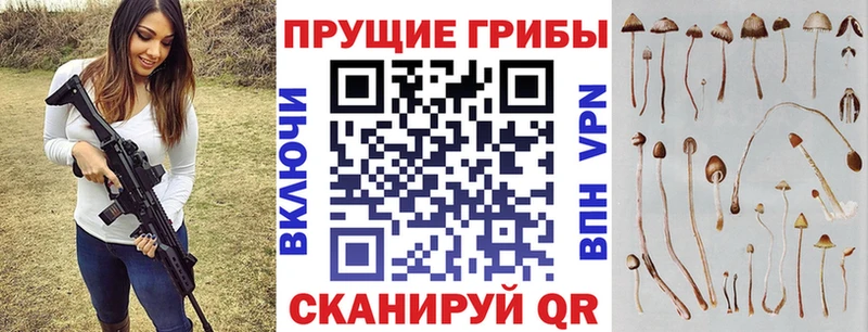 Псилоцибиновые грибы Magic Shrooms дарнет шоп Ленинградская